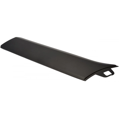 DORMAN (OE SOLUTIONS) - 927-336 - Lower Door Molding pa1