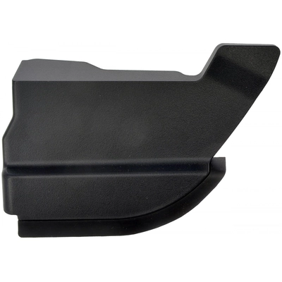 DORMAN (OE SOLUTIONS) - 927-350 - Body Molding pa1