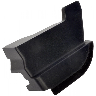 DORMAN (OE SOLUTIONS) - 927-350 - Body Molding pa2