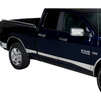 Body Molding by PUTCO - 9751304 pa4