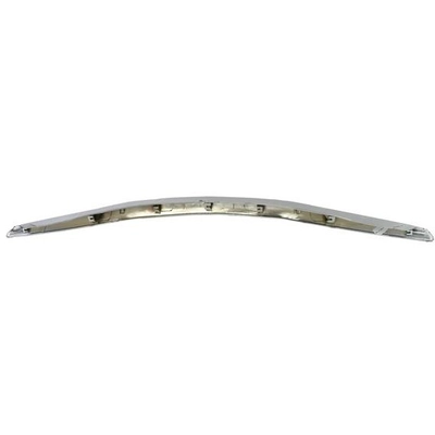 Body Molding by SKP - SK601545 pa2