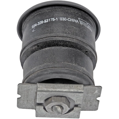 DORMAN - 924-320 - Support carrosserie pa1