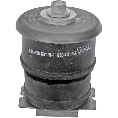 DORMAN - 924-320 - Support carrosserie pa2