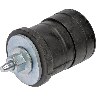 Body Mount by DORMAN (OE SOLUTIONS) - 924-050 pa6