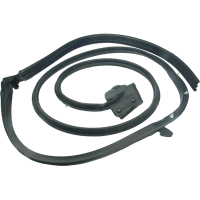 AUTOTECNICA - MA0817088 - Door Seal pa1