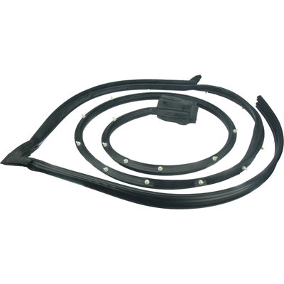 AUTOTECNICA - MA0817088 - Door Seal pa2