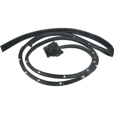 AUTOTECNICA - MA0817089 - Door Seal pa5