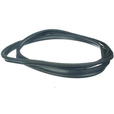 AUTOTECNICA - MA0817097 - Trunk pa1