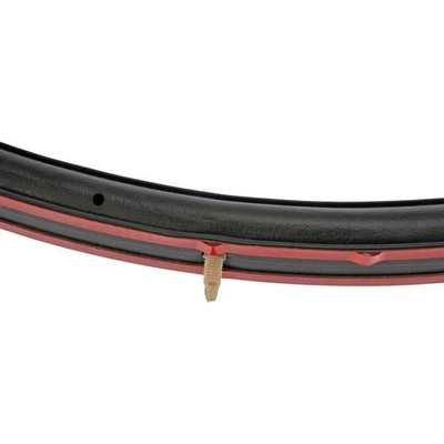 Body Seal by DORMAN (HD SOLUTIONS) - 750-5203 pa1