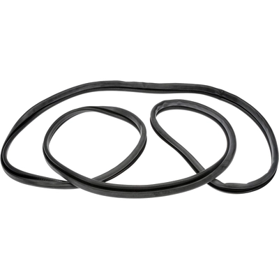 DORMAN (HD SOLUTIONS) - 750-5507 - Cab Door Weather Strip pa1