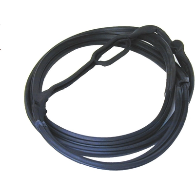 URO - 2017300778 - Door Seal pa1