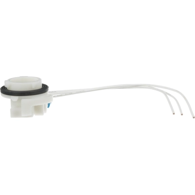 BLUE STREAK (HYGRADE MOTOR) - S829 - Brake Light Socket pa23