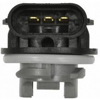 Brake Light Socket by BLUE STREAK (HYGRADE MOTOR) - HP4125 pa12