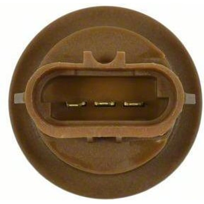 Brake Light Socket by BLUE STREAK (HYGRADE MOTOR) - S809 pa21