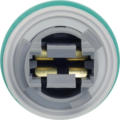 BWD AUTOMOTIVE - PT5780 - Electrical Socket pa2