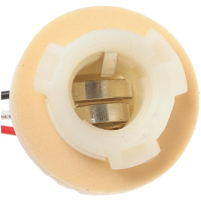 STANDARD - PRO SERIES - S519 - Parking Light Bulb Socket pa2