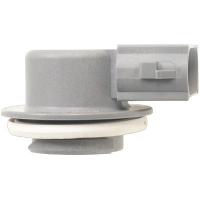 STANDARD - PRO SERIES - S875 - Back Up Light Socket pa1