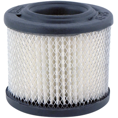 BALDWIN - PA643 - Air Breather Filters pa1