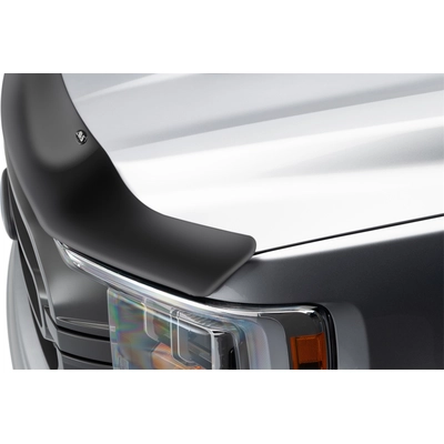 Bug Deflector by AUTO VENTSHADE - 23251 pa3