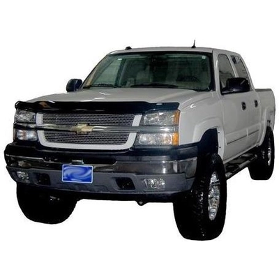 AUTO VENTSHADE - 23725 - Bug Deflector pa4