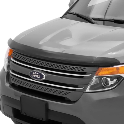 Bug Deflector by AUTO VENTSHADE - 24929 pa11