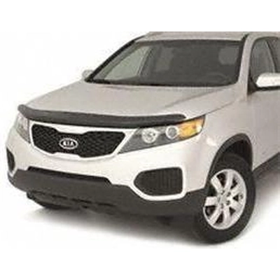 AUTO VENTSHADE - 25271 - Bug Deflector pa2
