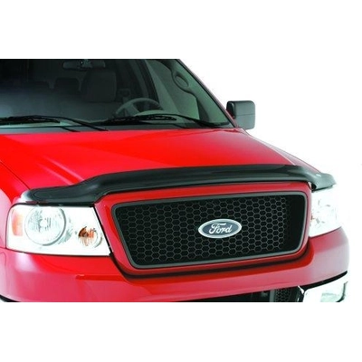 AUTO VENTSHADE - 25823 - Bug Deflector pa2