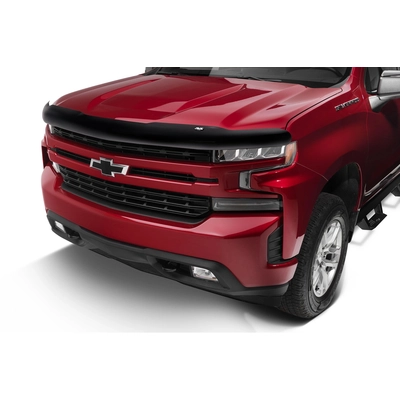 AUTO VENTSHADE - 25956 - Bug Deflector pa2