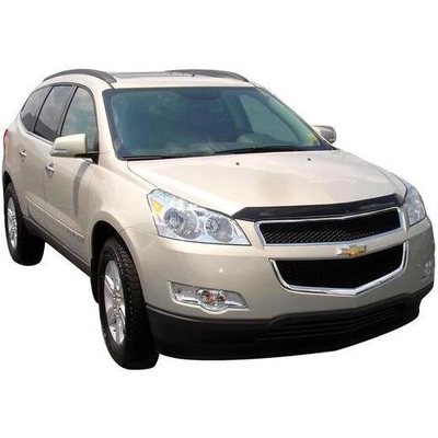 Bug Deflector by AUTO VENTSHADE - 320005 pa4