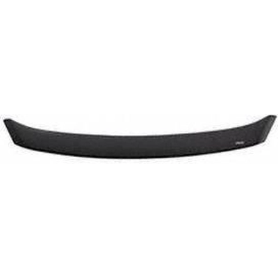 Bug Deflector by AUTO VENTSHADE - 320042 pa1