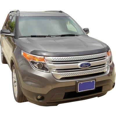 AUTO VENTSHADE - 322045 - Bug Deflector pa14