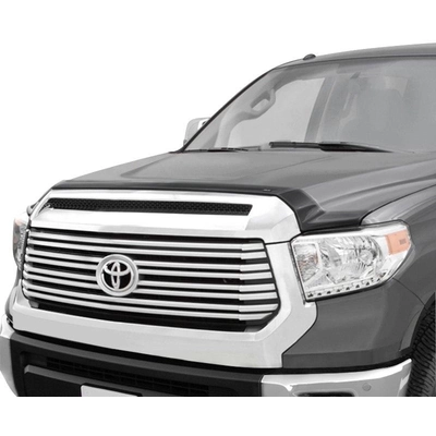AUTO VENTSHADE - 322081 - Bug Deflector pa6