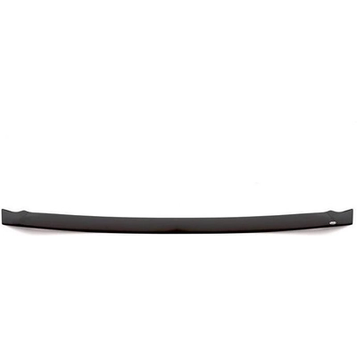 Bug Deflector by AUTO VENTSHADE - 322086 pa1