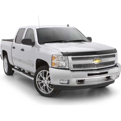 Bug Deflector by AUTO VENTSHADE - 322118 pa4