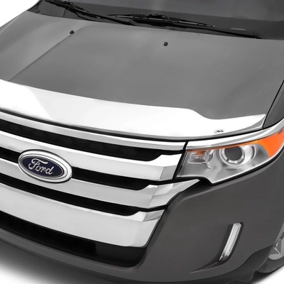 Bug Deflector by AUTO VENTSHADE - 622010 pa11