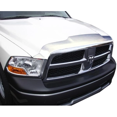 Bug Deflector by AUTO VENTSHADE - 622010 pa4
