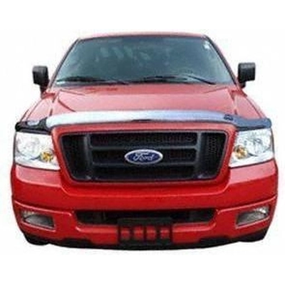 Bug Deflector by AUTO VENTSHADE - 680033 pa2