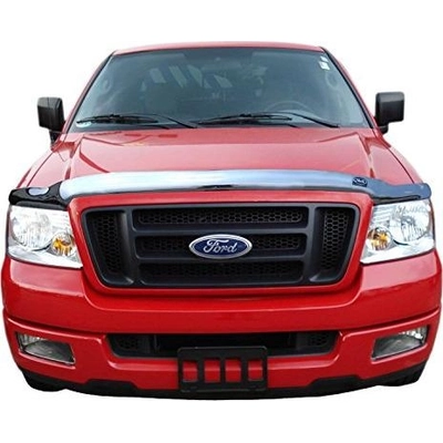 Bug Deflector by AUTO VENTSHADE - 680033 pa5