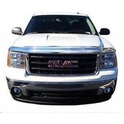 Bug Deflector by AUTO VENTSHADE - 680159 pa3