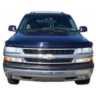 Bug Deflector by LUND - 18031 pa3