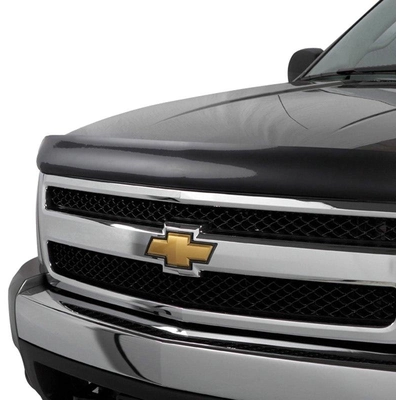 Bug Deflector by STAMPEDE - 3125-2 pa3