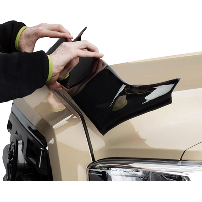 Bug Deflector by WEATHERTECH - 55022 pa4