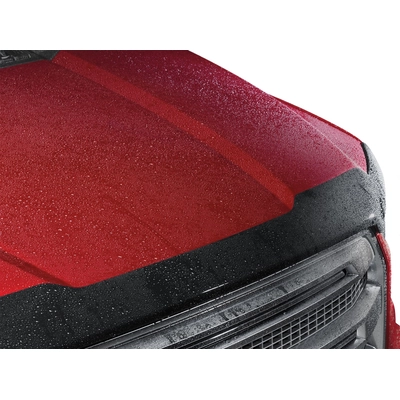 Bug Deflector by WEATHERTECH - 55095 pa1