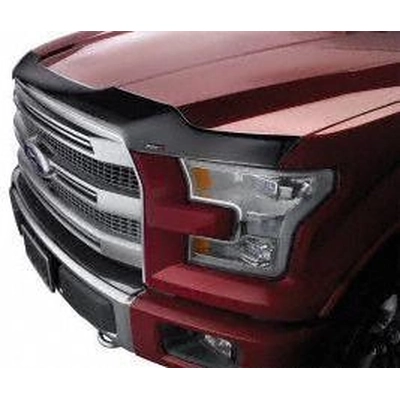 Bug Deflector by WEATHERTECH - 55123 pa2