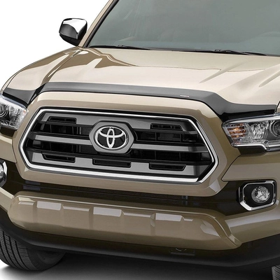 WEATHERTECH - 55141 - Bug Deflector pa1