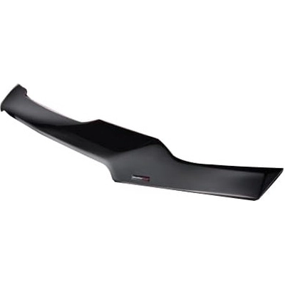 WEATHERTECH - 55207 - Bug Deflector pa1
