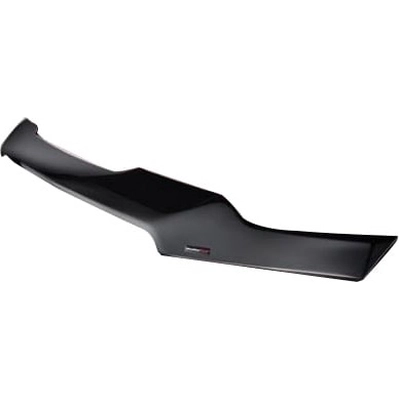 WEATHERTECH - 55234 - Bug Deflector pa1