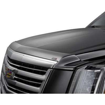 Bug Deflector by WEATHERTECH - 55253 pa1