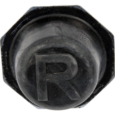 Bumper by DORMAN PREMIUM - BB741009PR pa2