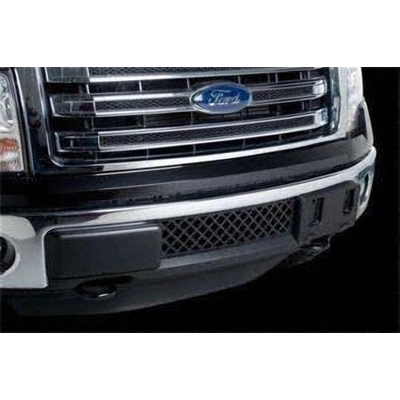 PUTCO - 85182 - Bumper Grille Kit pa1